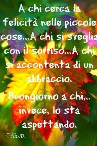 buongiorno felice