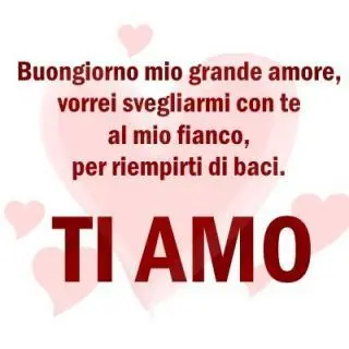 buongiorno mio grande amore, vorrei svegliarmi con te al mio fianco, per riempirti di baci. ti amo