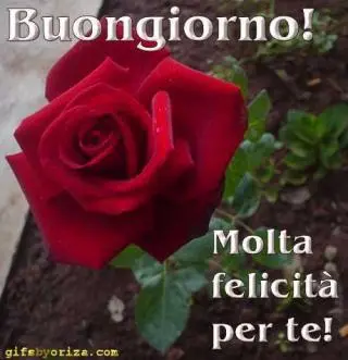 buongiorno felice