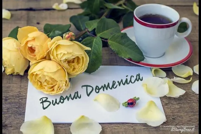 buona domenica