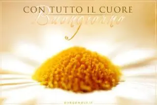 una bellissima margherita con una frase per augurare il buongiorno