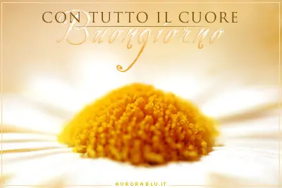 una bellissima margherita con una frase per augurare il buongiorno