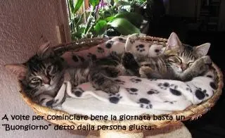 a volte per cominciare bene la giornata basta un buongiorno detto dalla persona giusta