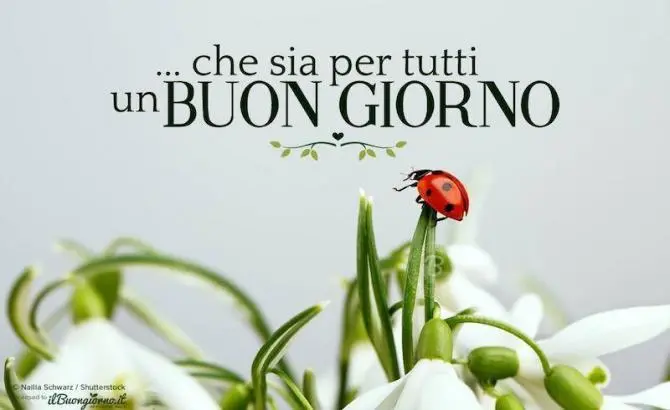 che sia per tutti un buongiorno