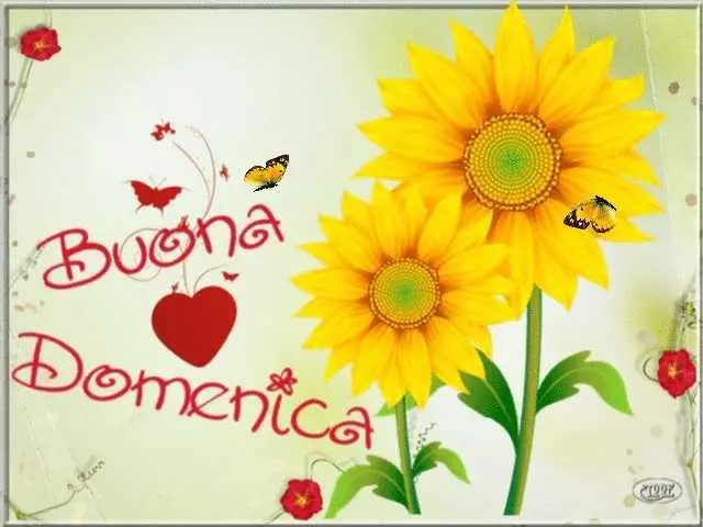Buona domenica e buongiorno
