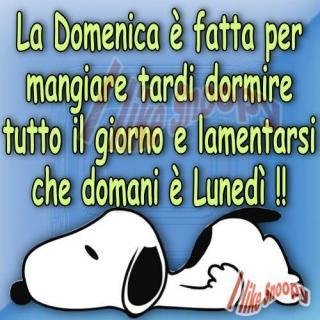 Buona domenica divertente