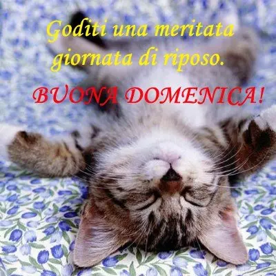 buona domenica