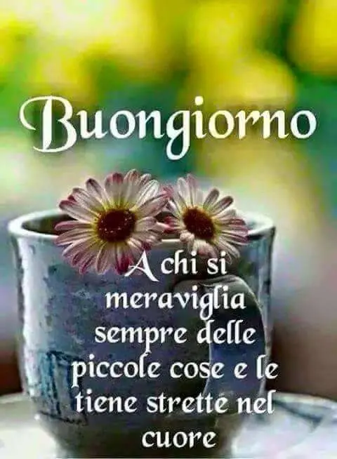 buongiorno frase bella