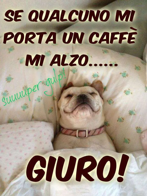 immagine buongiorno divertente con cagnolino a letto