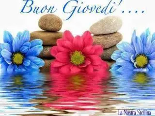 buon giovedì e buongiorno