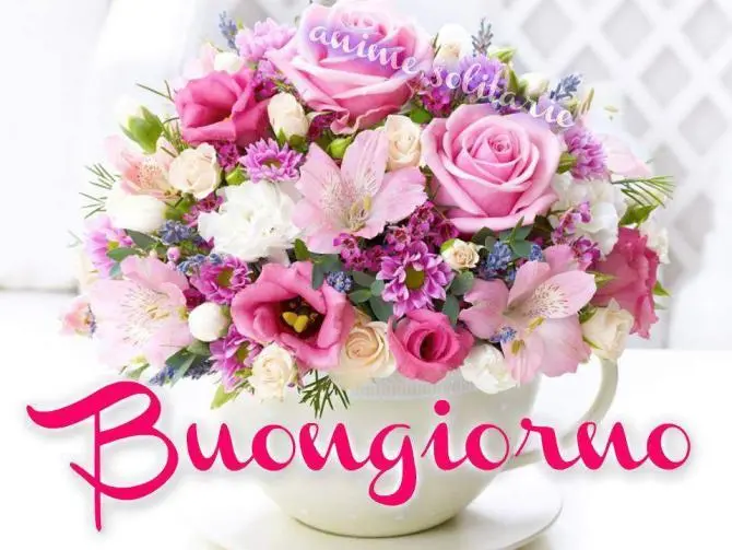 immagine buongiorno con fiori rosa