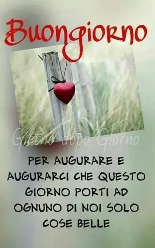 frase immagine buongiorno