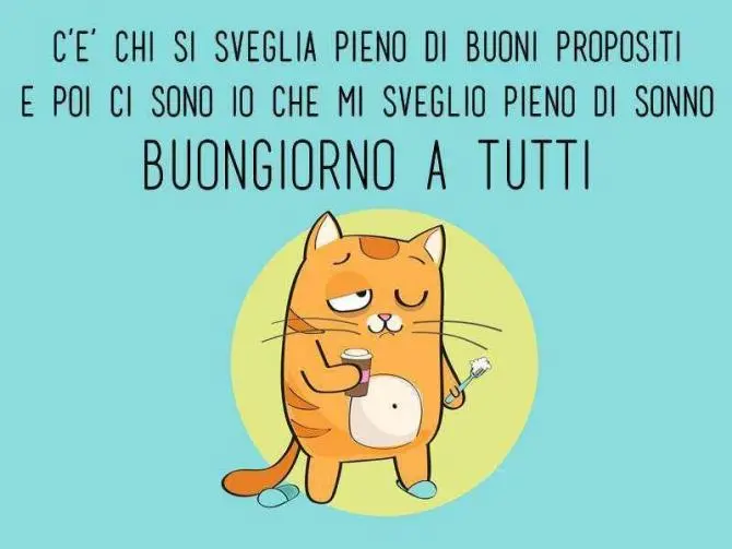 immagine di buongiorno con gatto assonnato