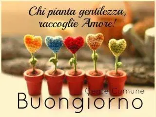 buongiorno immagine_210