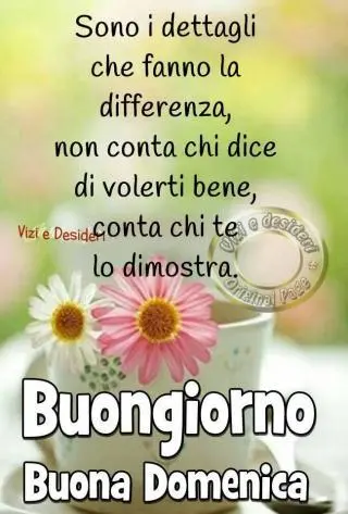 Buongiorno buona domenica_100