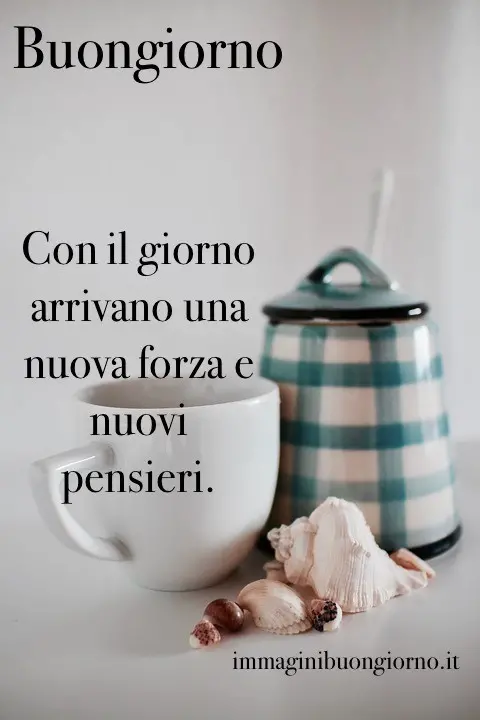 immagine con una tazzina, una zuccheriera e delle conchiglie