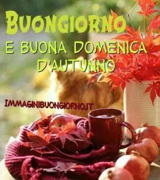 buona domenica